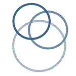 BORO Solutions logo